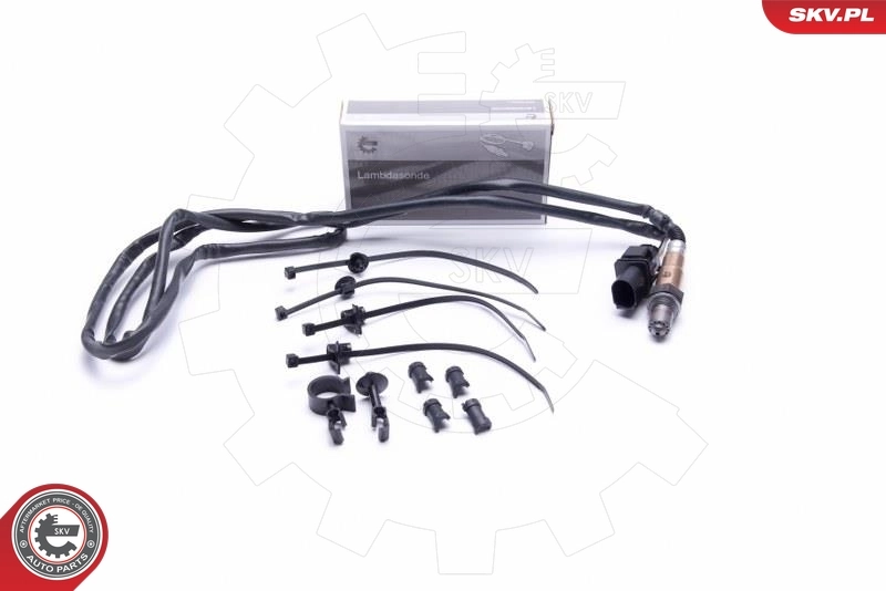 Oxygen Sensor